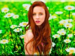Redhead In The Grass
