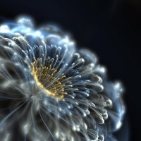 Fractal flower