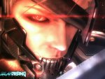 METAL GEAR RISING REVENGEANCE