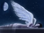 Angel Dreams