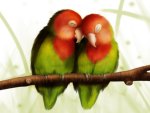 Love Birds