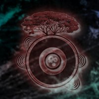 Follow your imagination