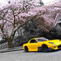 Re-Amemiya FD3S