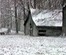 Snow On The Farm