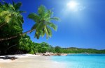 Tropical Beach