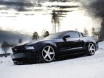 mustang