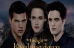 Breaking Dawn Part 2