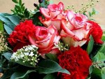 Carnations and roses bouquet