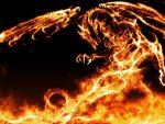 dragon fuego