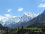 Greenery In Ladakh.