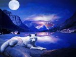 Moon Wolf