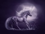 unicorn in purple