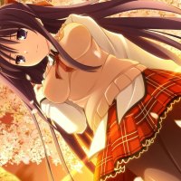 â˜…Nexus Musicâ˜…