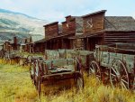 Wyoming Ghost Town #1