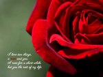 flower quotes