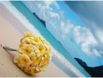 Plumeria Wedding Bouquet