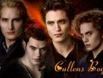twilight - cullens boys