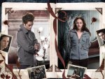 Twilight - bella and edward