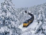 Winter Train