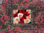 ~Frame of Roses~
