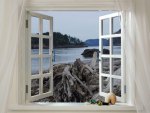 ~Out of The Window~