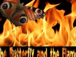 ~Butterfly on the flame~