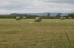 Green fields and bales of barley.