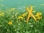 Childhood Cancer Awareness