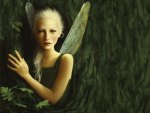 ~Fairy of the Forest~