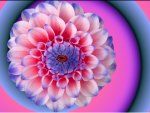 Flower Spiral Gradient Background
