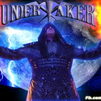 undertaker 2013,