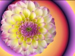 Flower Spiral Gradient Bg