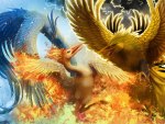 ZAPDOS,ARTICUNO,MOLTRES