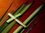 Palm Sunday