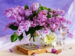 Beautiful lilac -still life