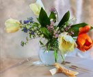 Tulips in vase
