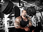 rich piana