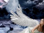 ~White Winged Angel~