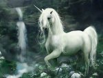 ~Unicorn~