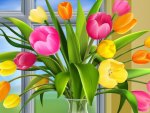 ~Colorful Tulips~