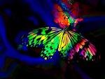 Butterfly Abstract
