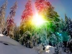 SNOW RAINBOW