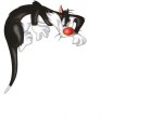 sylvester the cat 