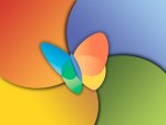 MSN Butterfly