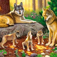 Wolf family
