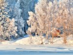 Winter cabin
