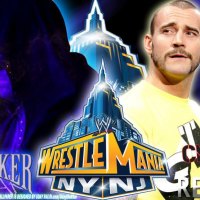 undertaker vs cm punk