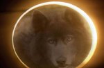 Wolf Moon