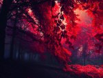 magical red forest