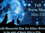 World Memorial Day For Fallen Wolves